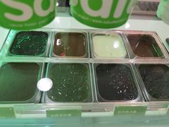 -Salud撒露欧洲冻酸奶(五道口购物中心店)