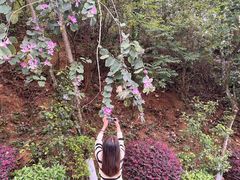 -神光山国家森林公园