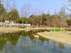 -夏河溪乡野公园