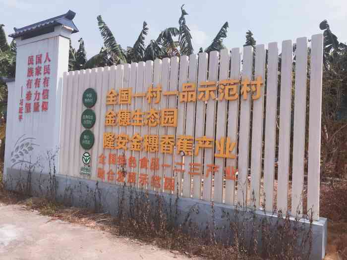 金穗生态园-"9915地址:隆安县金穗火龙果产业示范区 .