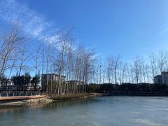 -春晖园度假酒店温泉