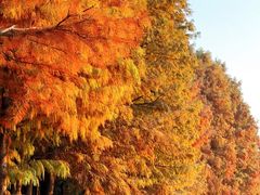 -云龙湖旅游景区