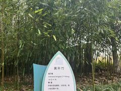 -安吉竹博园
