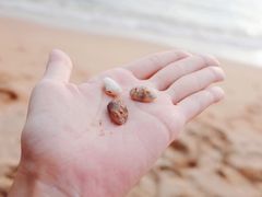 -乔木提恩海滩