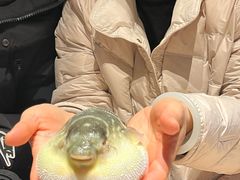 -永安鱼庄·镇江菜(东吴路店)