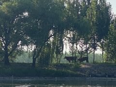 -东方巨龟苑景区