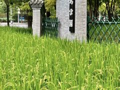 -北坞公园