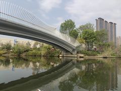 -光明港公园