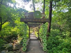 -大岭沟猕猴桃谷风景区