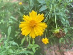 -一朵花事咖啡厅(山原色民宿店)