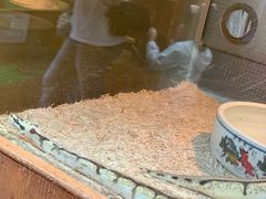 -上海大自然野生昆虫馆(东方明珠·爬宠昆虫探索中心)