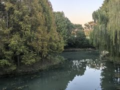 -尚贤河湿地