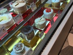 -乐天免税店(明洞店)