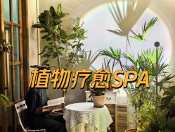 -芳香乐府疗愈空间·SPA·冥想