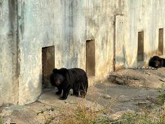 -宁波野生动物园