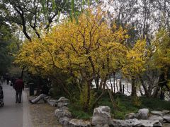 -上海外国语大学(虹口校区)