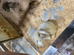 -上海大自然野生昆虫馆