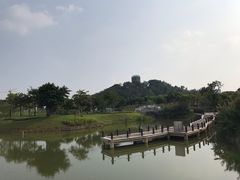 -王借岗森林公园