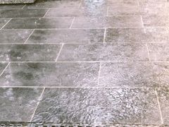 -食膳公园包子铺(烈士公园店)