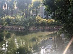 -华雅花园大酒店