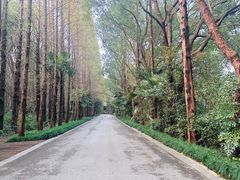 -同里国家湿地公园