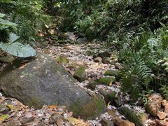 -火炉山森林公园