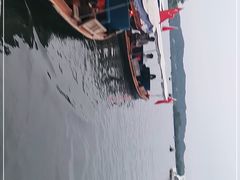 -西湖外事游船(花港观鱼码头)