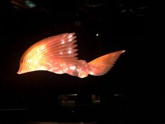 -墨尔本博物馆(Melbourne Museum)