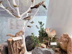 -浙江西湖美术馆