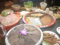 -水巷子·巴掌腰片重庆火锅(巧家店)