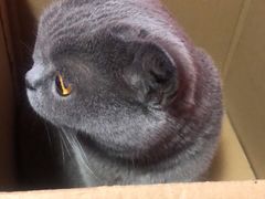 -爱派特动物医院·全科诊疗中心