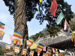 -北京上方山国家森林公园