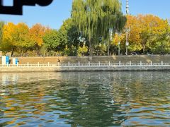 -皇家御河游(紫御湾码头)
