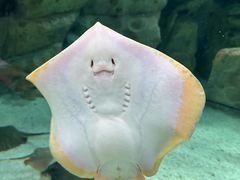 -珠海长隆海洋王国