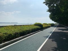 -南沙十九涌渔人码头-南门