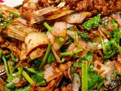 -秀儿四九城·新京菜(亚运村鸟巢店)