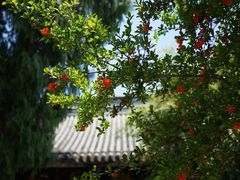 -台州府城(江南长城)