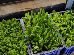 -玉园烧烤·海鲜辣炒