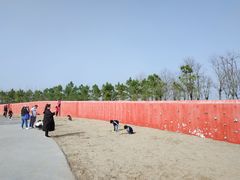 -春花秋色城市公园