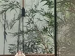 -绿茶餐厅(青岛城阳万象汇店)