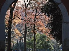 -灵谷景区