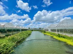 -马陆小张葡萄园农家乐