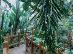 -石家庄市植物园