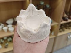 -万达广场(济南高新店)