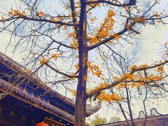 -龙华寺