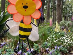 -上海共青森林公园