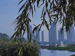 -前关湿地公园