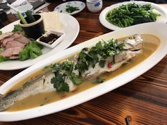 清炖白丝鱼-骆马湖酒家(窑湾新区店)