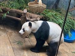 -深圳野生动物园