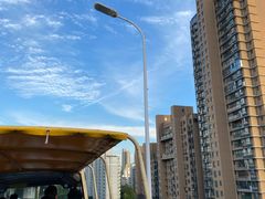 -BUS TOUR观光巴士